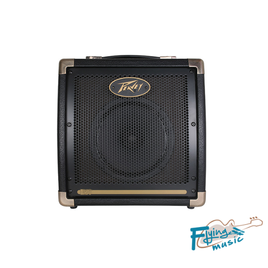 Peavey Ecoustic E20 Acoustic Amp