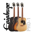 Epiphone