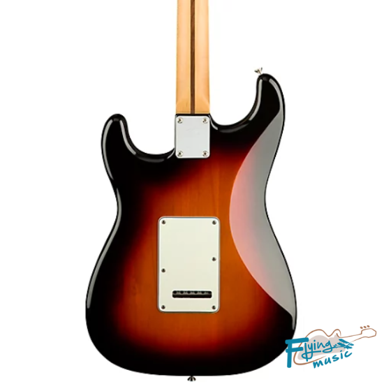Fender Player Series Stratocaster - Pau Ferro Fingerboard